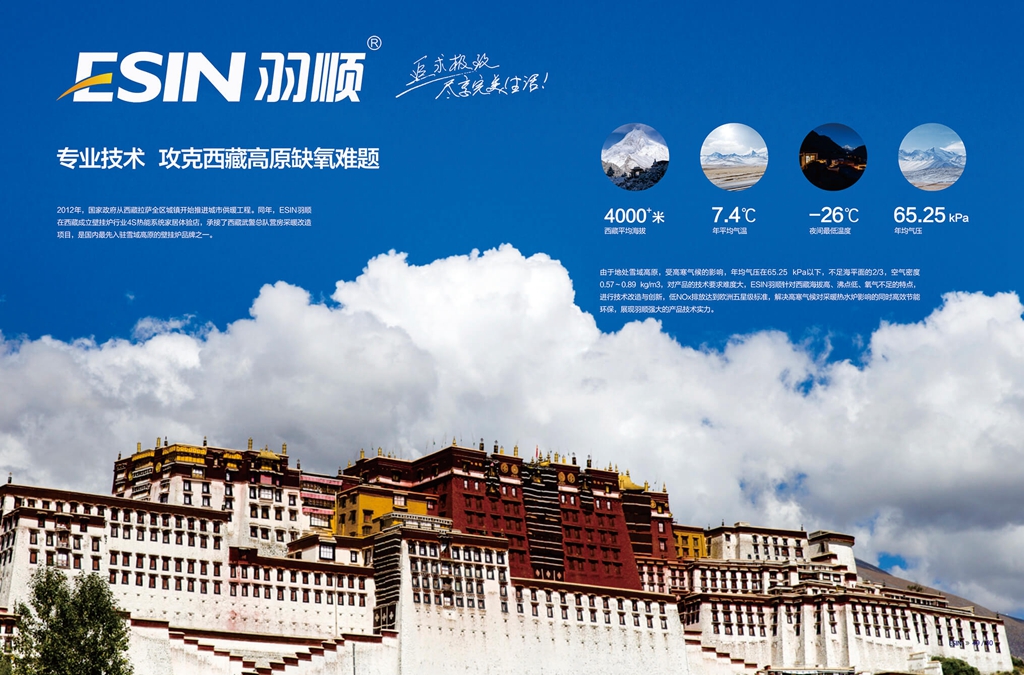 羽顺_1.jpg
