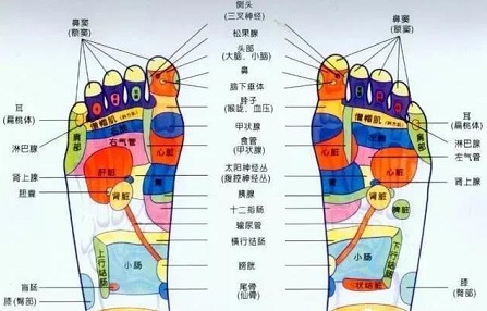 微信图片_20210806094622.jpg